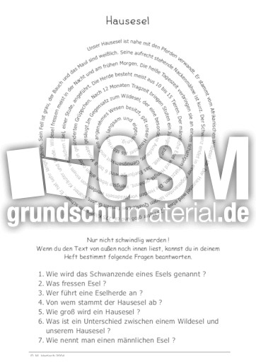 Hausesel.pdf